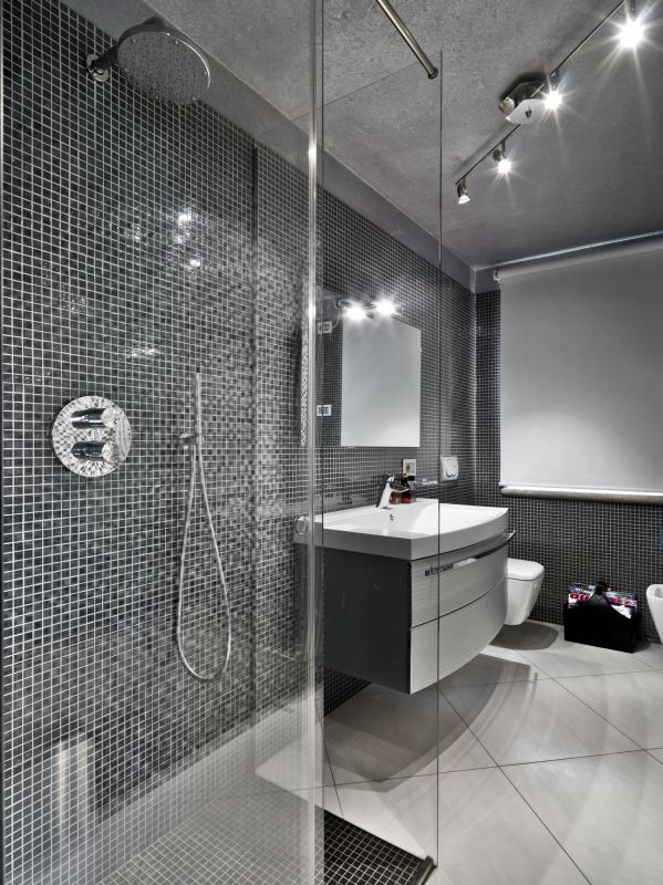 Contemporary Shower Features